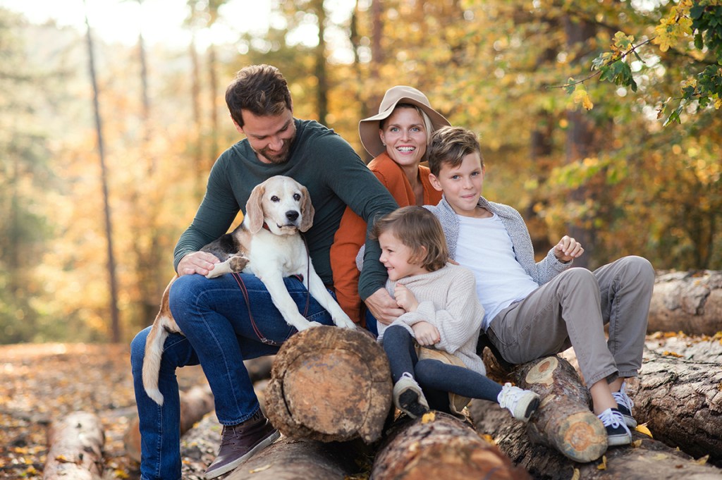 A family of mum, dad, two sons and a dog sit in a group shot, on top of a pile of logs